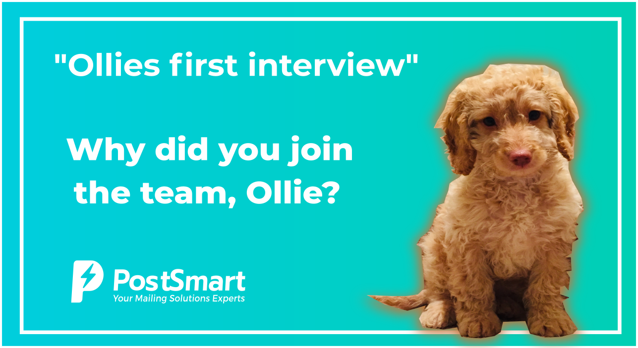 Introducing "Ollie"... PostSmart